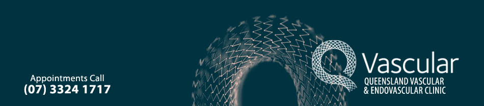 Welcome to QVascular